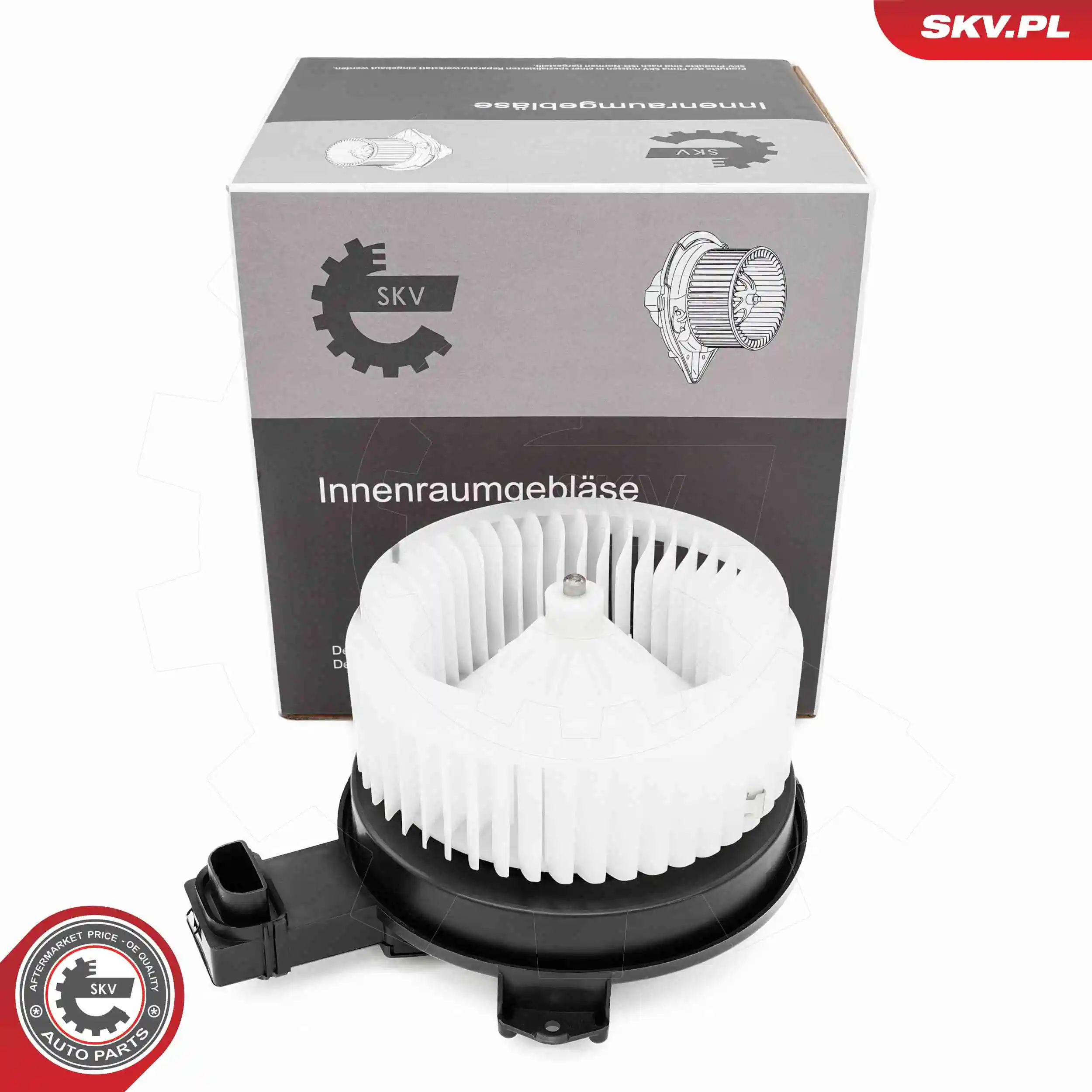 Interior Blower